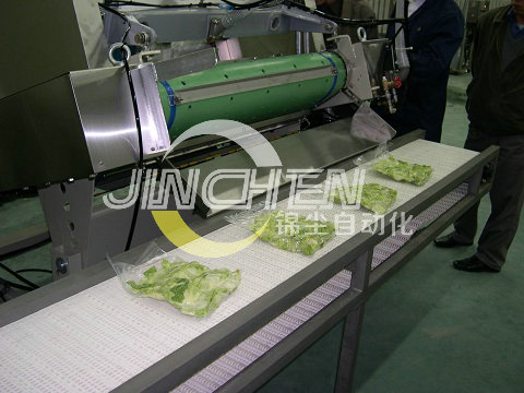 雙層塑鋼（模塊）網(wǎng)帶輸送機